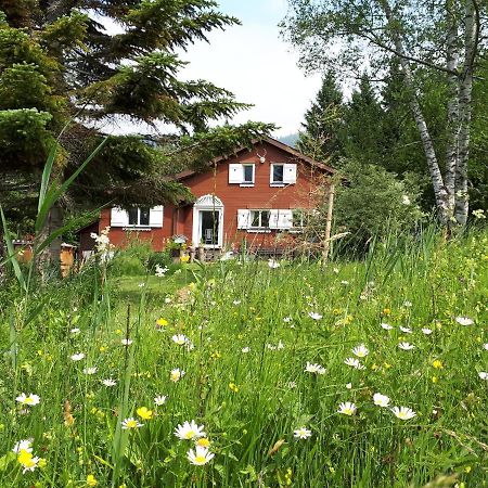 Chalet Chic Wildhaus Luaran gambar