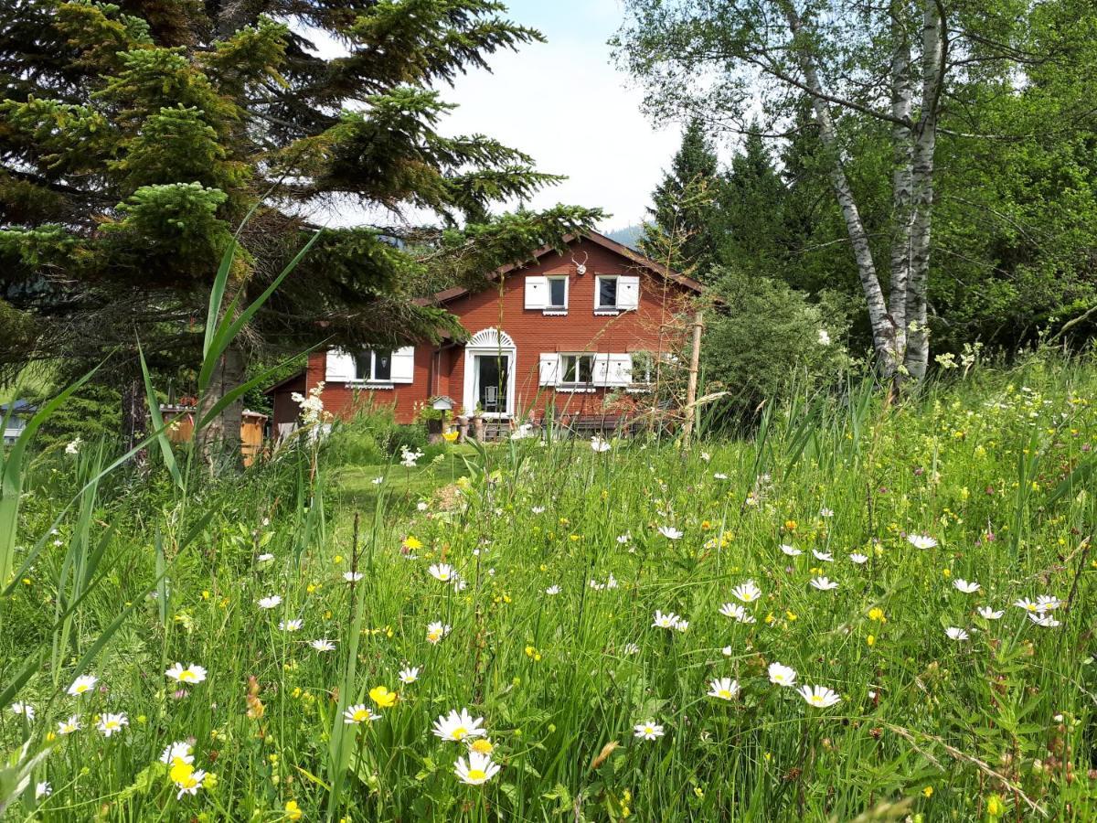 Chalet Chic Wildhaus Luaran gambar