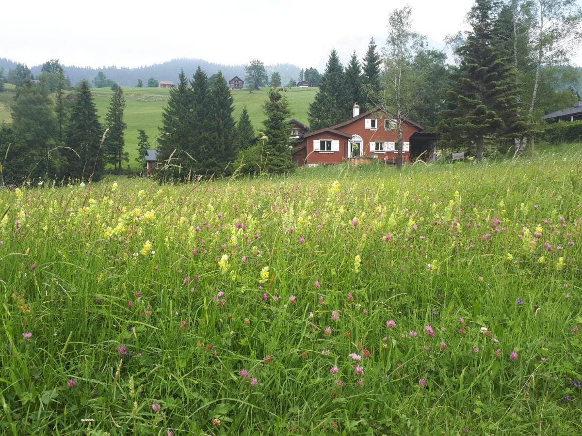 Chalet Chic Wildhaus Luaran gambar